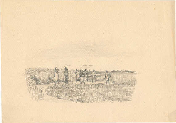 Кострова Анна Александровна. Жатва